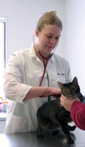 Dr Michelle LaCoste