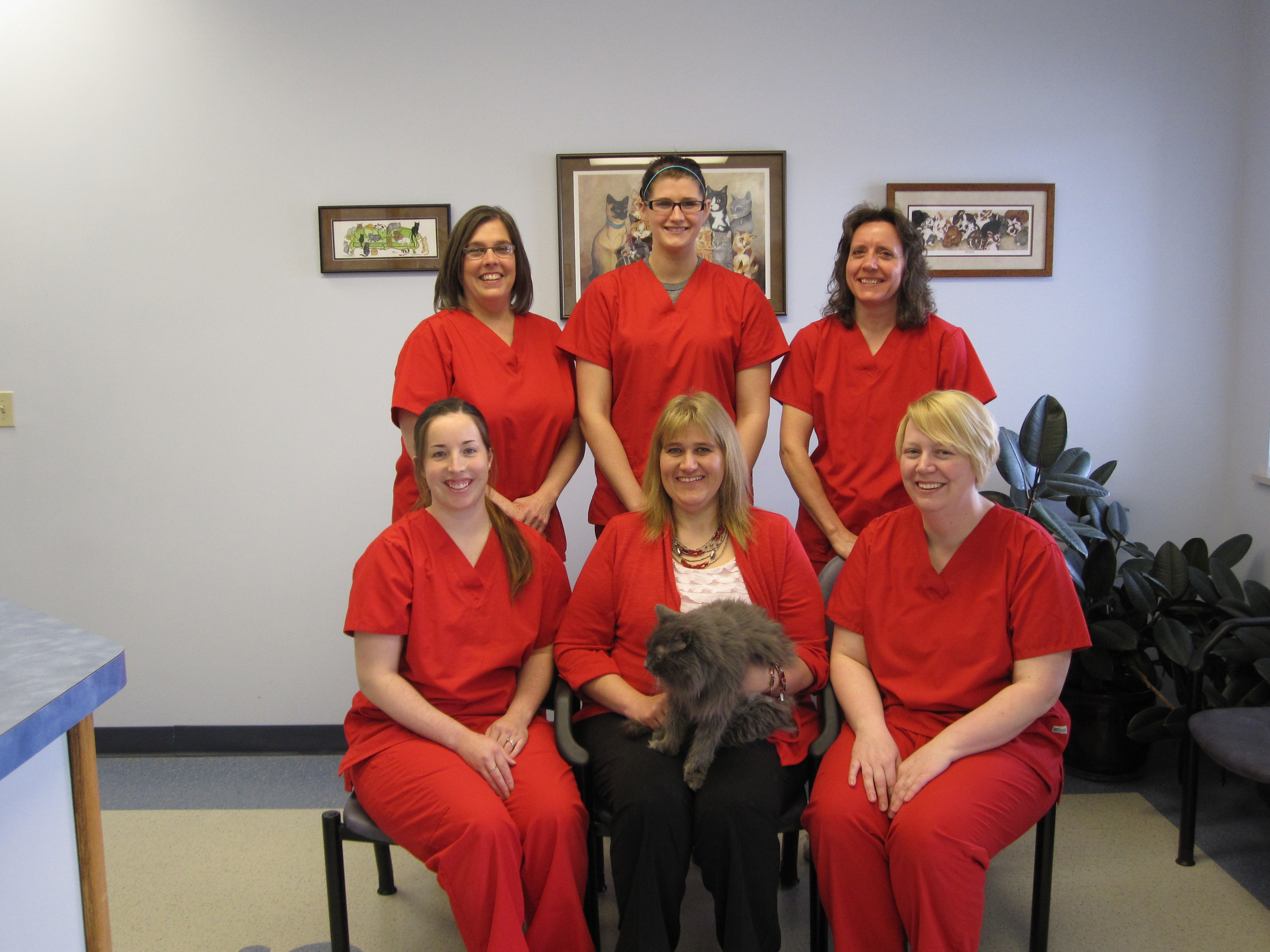 Staff Photo » Animal Medical Hospital Veterinarians 402 19th St SW, Mason City, Iowa 50401